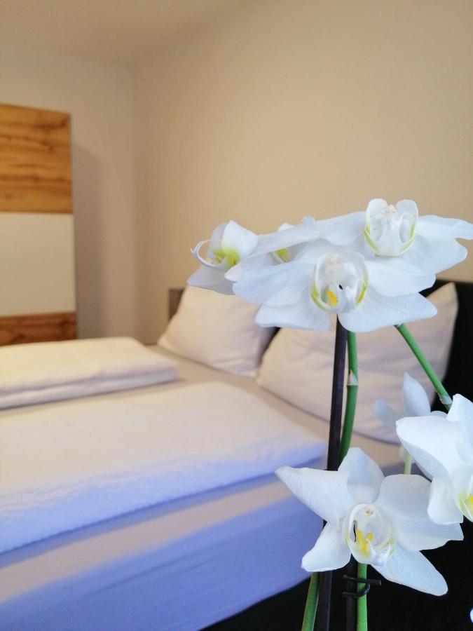 Appartement Tauernlife Schwarzach im Pongau Exteriör bild